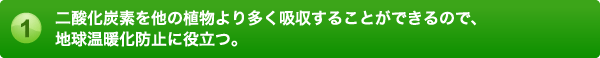 二酸化炭素を他の植物より多く吸収することができるので、地球温暖化防止に役立つ。