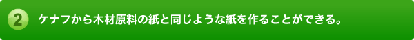 ケナフから紙を作る事ができる、針葉樹や広葉樹の紙と似たような紙を作る事が出来る。