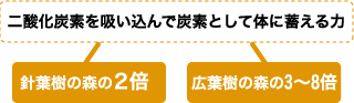 二酸化炭素を吸い込んで炭素として体に蓄える力は、針葉樹の森の2倍、広葉樹の森の3～8倍です