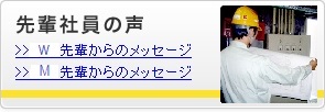 先輩社員からの声